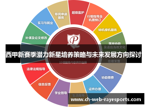 西甲新赛季潜力新星培养策略与未来发展方向探讨