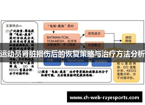 运动员肾脏损伤后的恢复策略与治疗方法分析